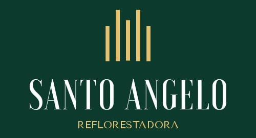 Reflorestadora Santo Angelo
